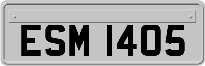 ESM1405