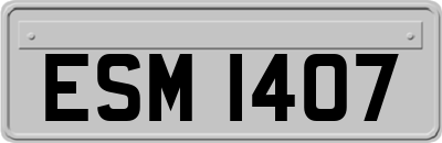 ESM1407