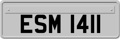 ESM1411
