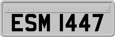 ESM1447