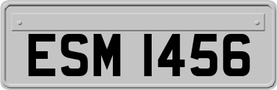 ESM1456