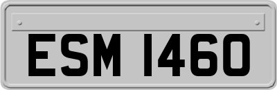 ESM1460