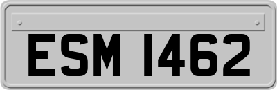ESM1462