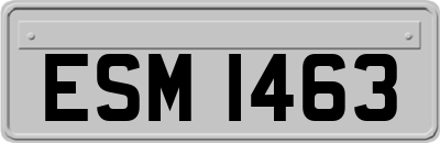 ESM1463