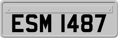 ESM1487