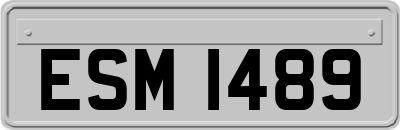 ESM1489