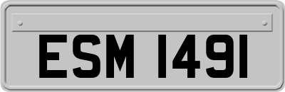 ESM1491