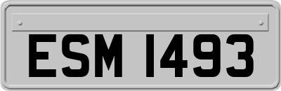 ESM1493