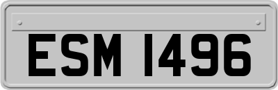 ESM1496
