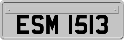 ESM1513