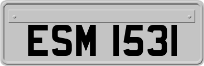 ESM1531