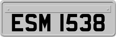ESM1538