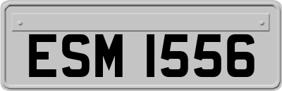 ESM1556