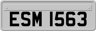 ESM1563