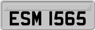 ESM1565
