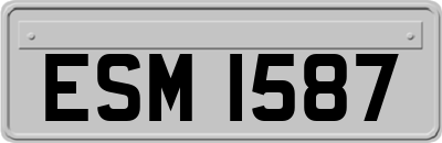 ESM1587