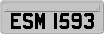 ESM1593