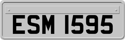 ESM1595