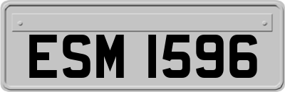 ESM1596