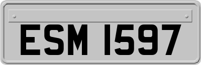 ESM1597