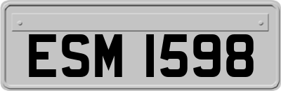 ESM1598
