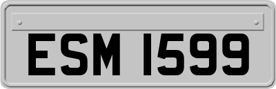 ESM1599