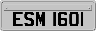ESM1601