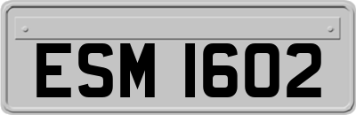 ESM1602