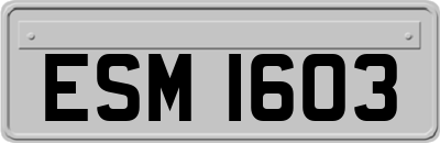 ESM1603
