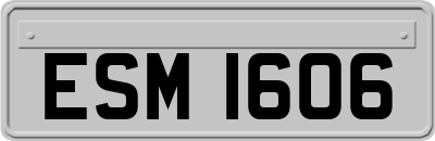 ESM1606
