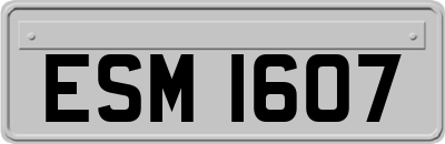 ESM1607