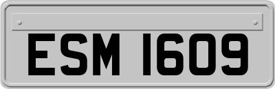 ESM1609