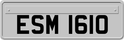 ESM1610