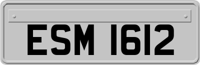ESM1612
