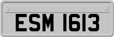 ESM1613