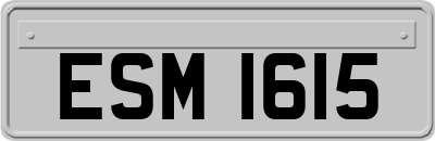 ESM1615