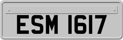 ESM1617