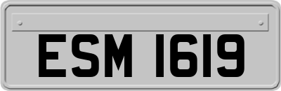 ESM1619