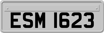 ESM1623