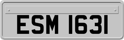 ESM1631