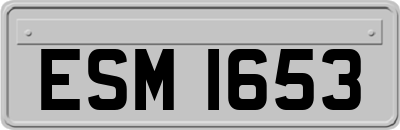 ESM1653