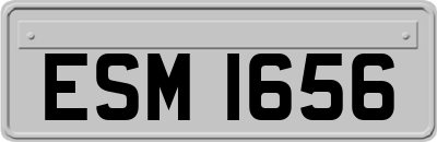 ESM1656