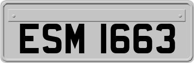 ESM1663