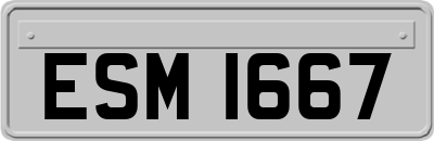 ESM1667