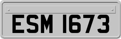 ESM1673