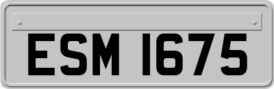 ESM1675