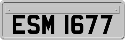 ESM1677