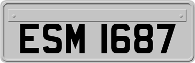 ESM1687