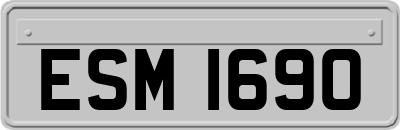 ESM1690