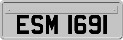 ESM1691